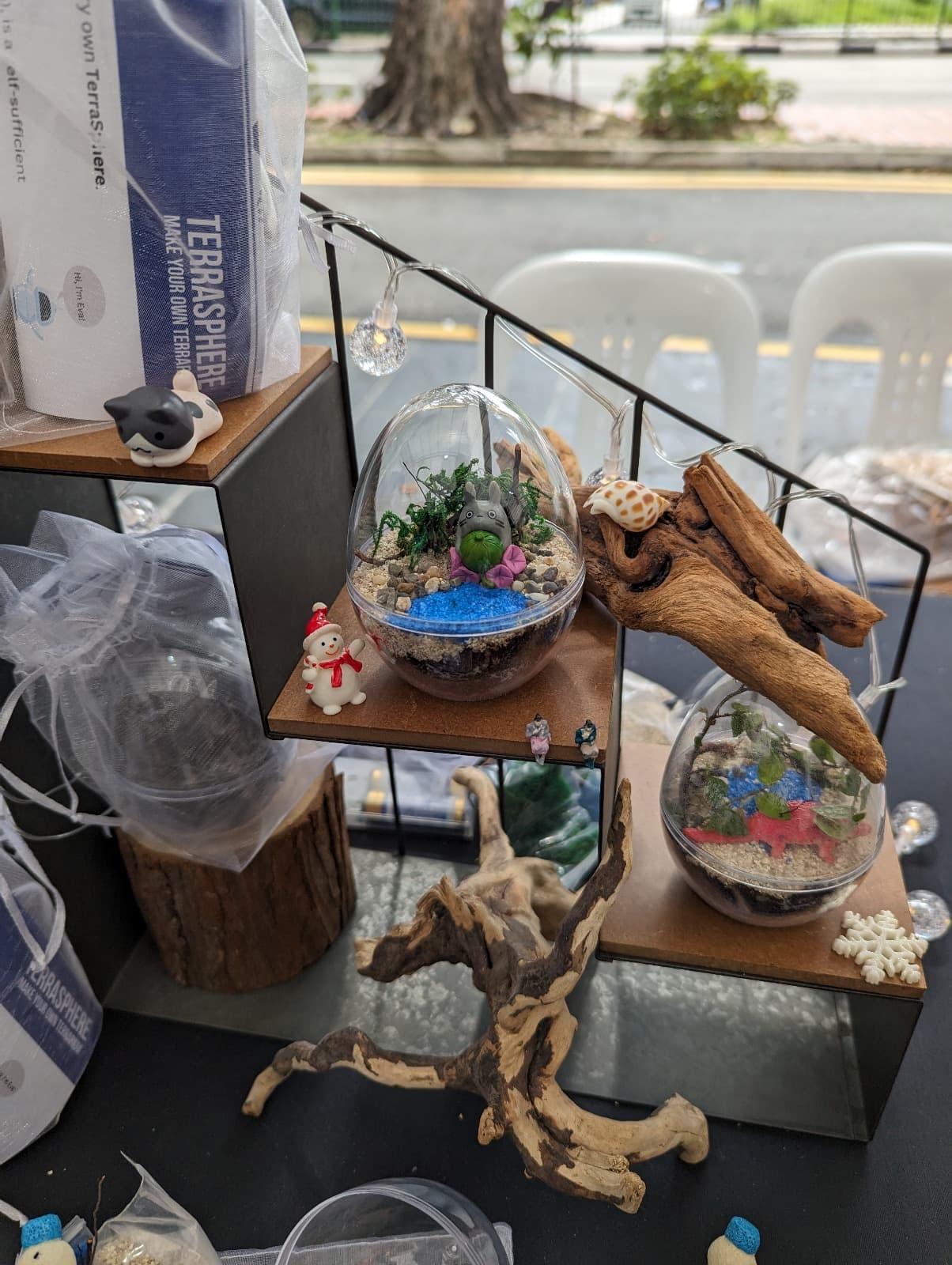 Mobile DIY Terrarium Cart Rental