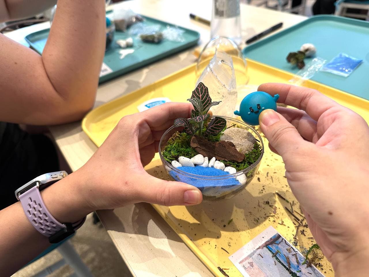 Terrarium Making Workshop